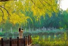 梅西世界杯被围照片-梅西世界杯被围照片，足球传奇的无奈与坚韧